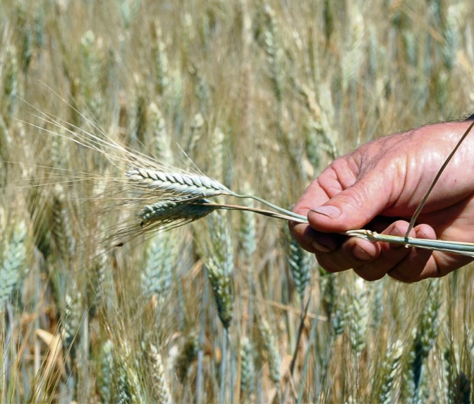 Космос. Природа. Животные. Мировые новости.